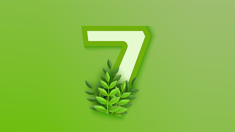 Vector leaves number seven 7 on green background. Spring font symbol, fresh bio and eco style type element with plant branches. Natural, organic garden or forest typography with foliage.