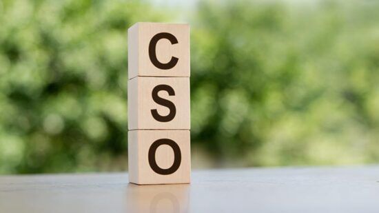 From value driver to cost centre: The changing role of the CSO