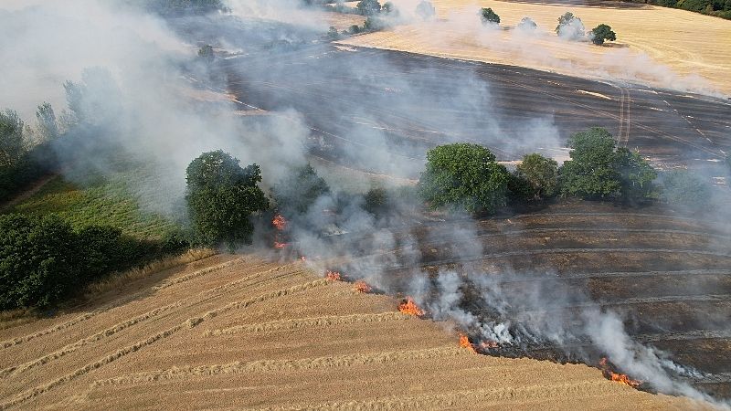 UK nature wildfires