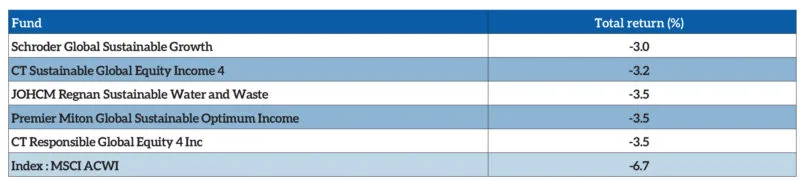 Sustainable global equity funds ranked by performance since Liberation Day