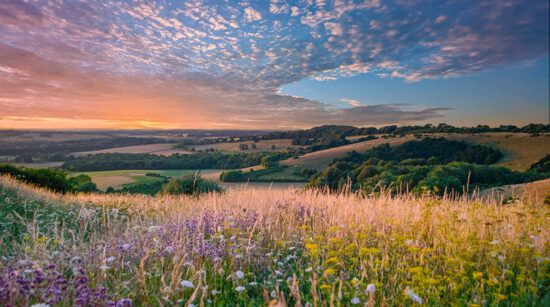 EAC urges UK government to reiterate its support for Biodiversity Net Gain