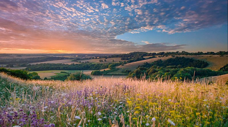 Summer view from the South Downs