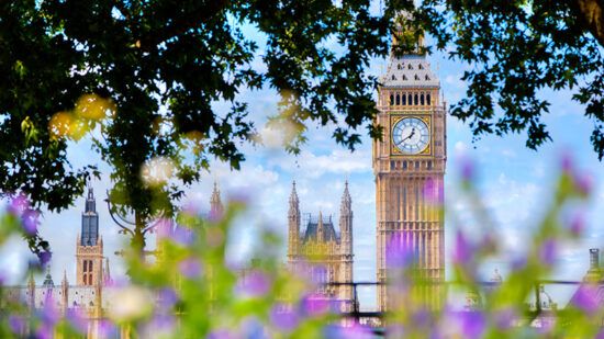 Green taxonomy ‘has no place’ in UK