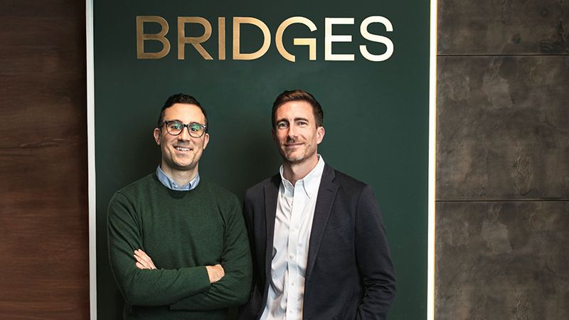 Bridges FM hires HSBC AM climate team