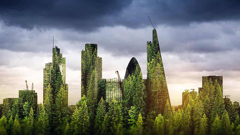 250 asset managers reaffirm commitment to NZAM