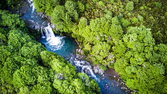 Nordea AM lands ethical mandates with New Zealand firm