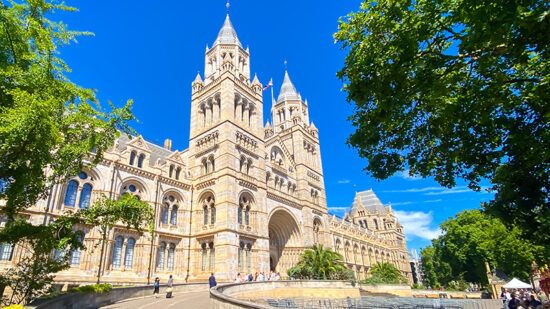 BlackRock to offer Natural History Museum’s BII index to investors