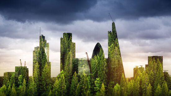 Rathbones: Nine in 10 fund selectors expect rise in ESG and sustainable allocations