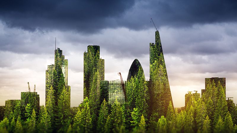 Rathbones: Nine in 10 fund selectors expect rise in ESG and sustainable allocations